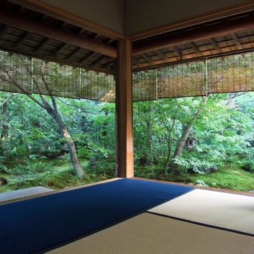 2e5cc5881cc1678088ec666c552c520c