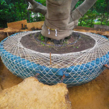 bigtree_031