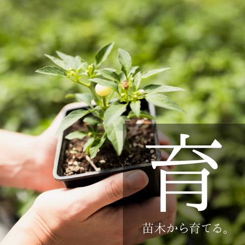 gallery04