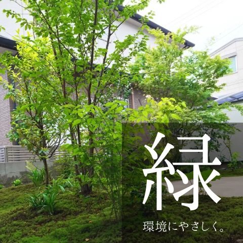 gallery05