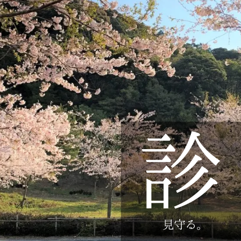 gallery06