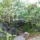 syuhari_0011