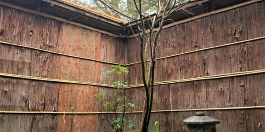 ※IMG_8113_img